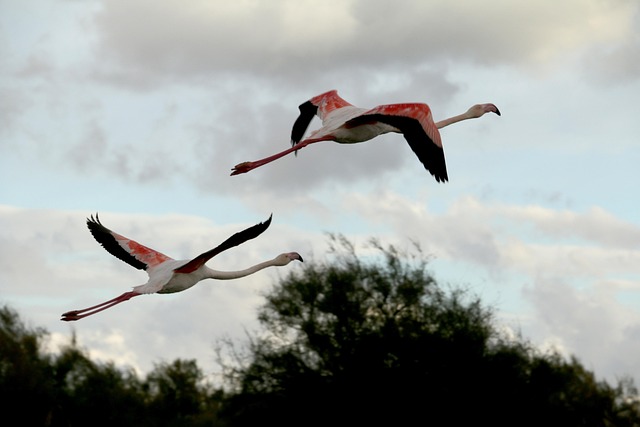 Marie-Claire Gagnon directrice de la stratégie client marketing bilingue